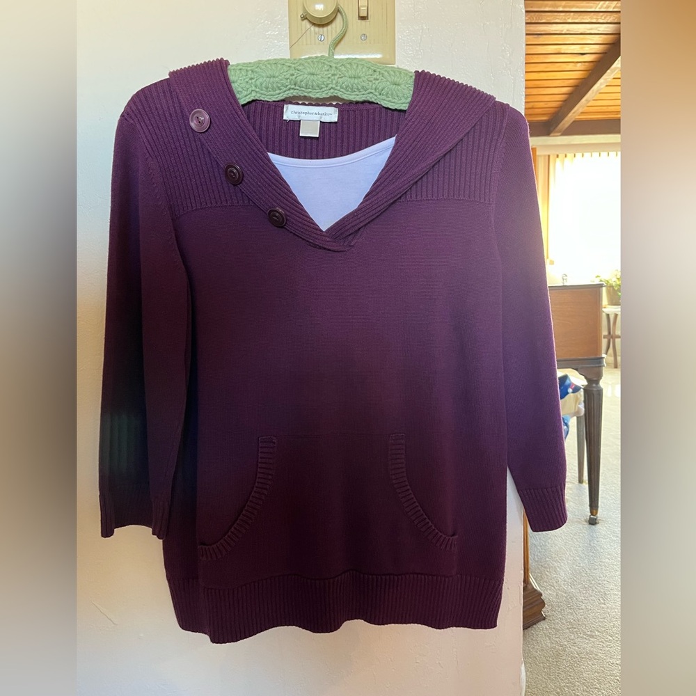 Christopher & Banks Deep Purple V-Neck Sweater